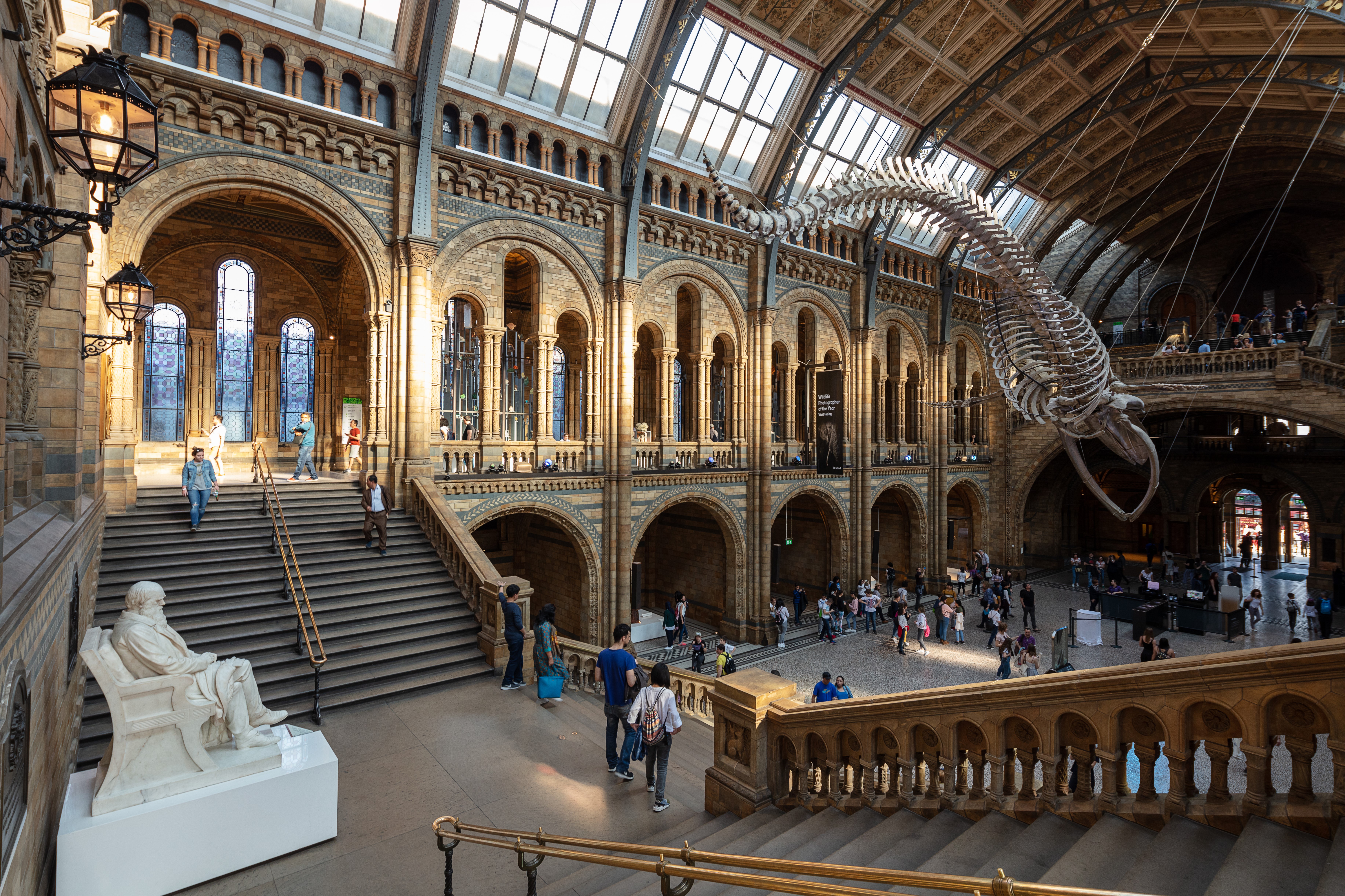 A big building filled with many stairs, bustling with people, features the Natural History Museum in the background.