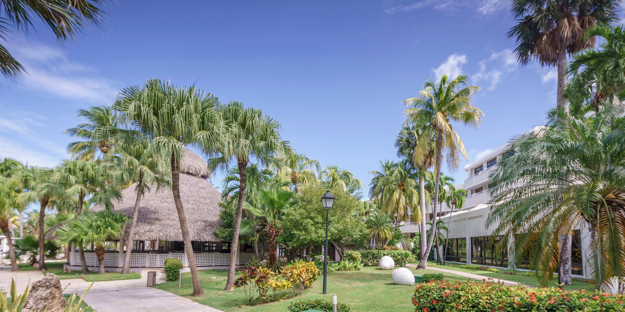 a building with palm trees and a grass roof