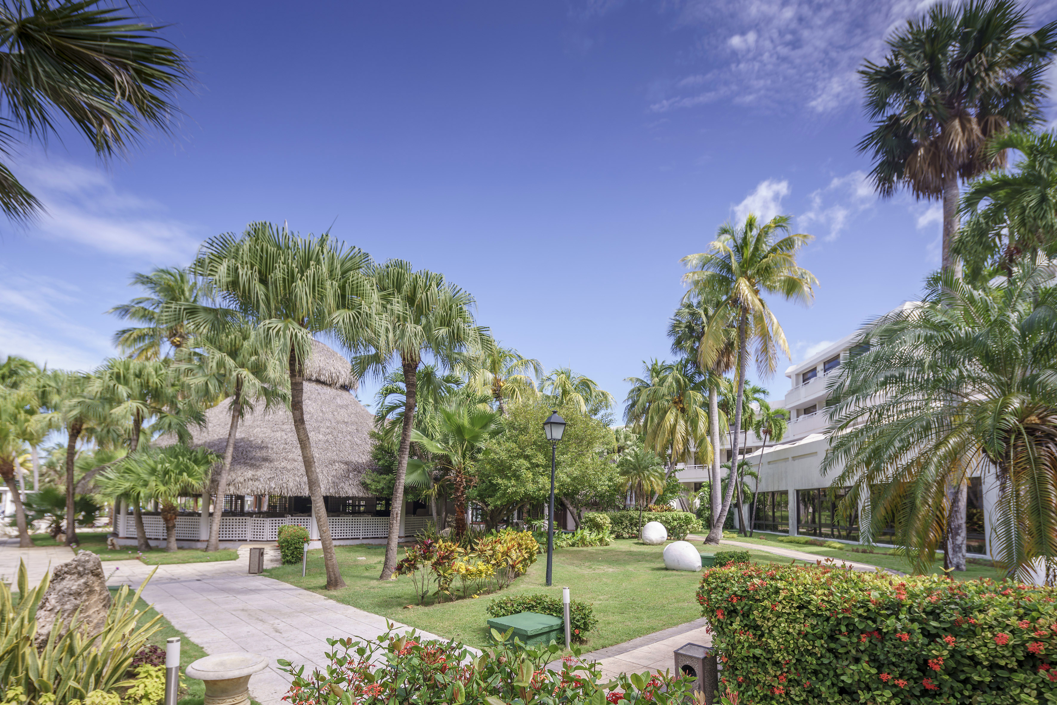 a building with palm trees and a grass roof