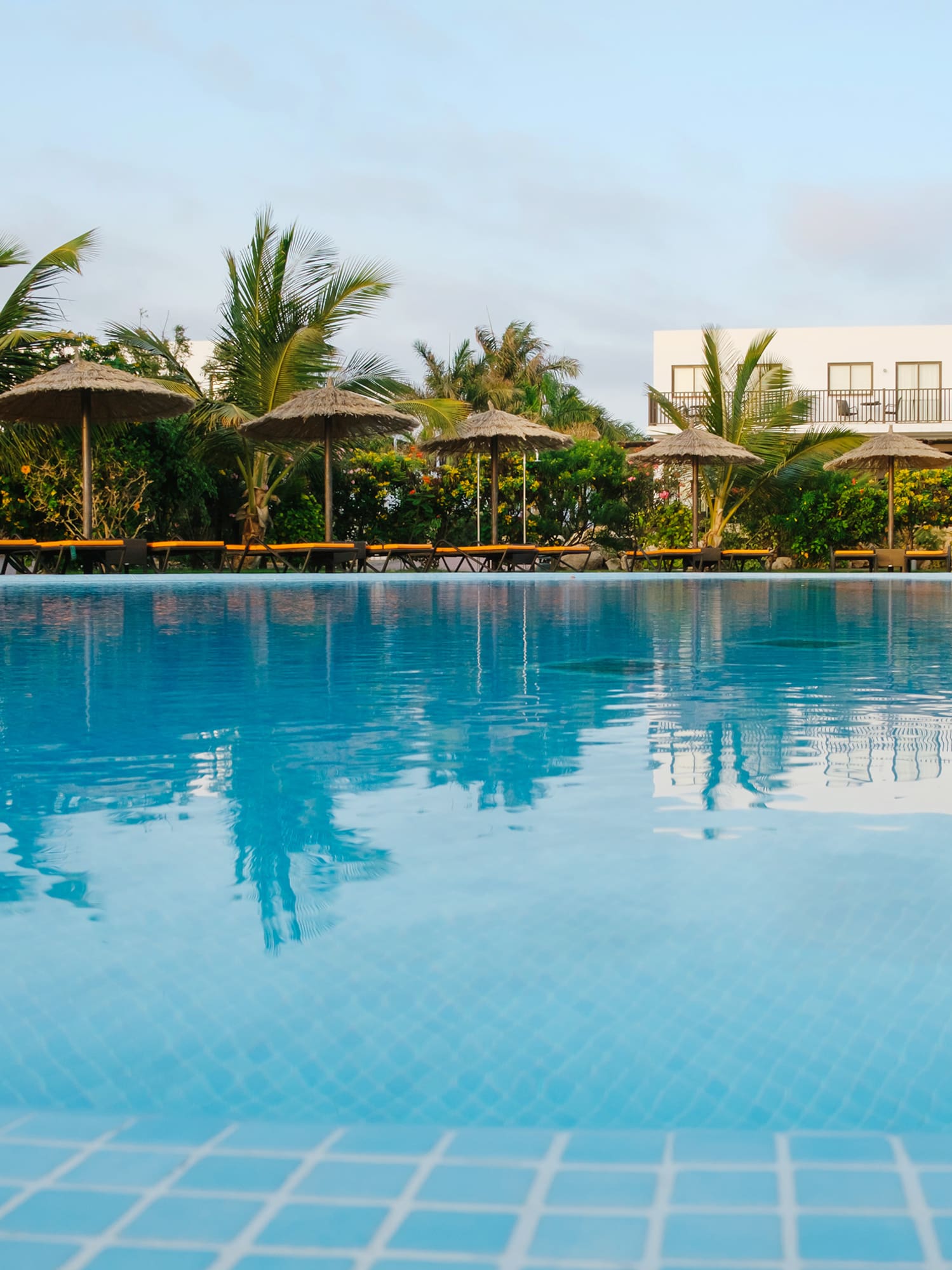 a pool with umbrellas and palm trees