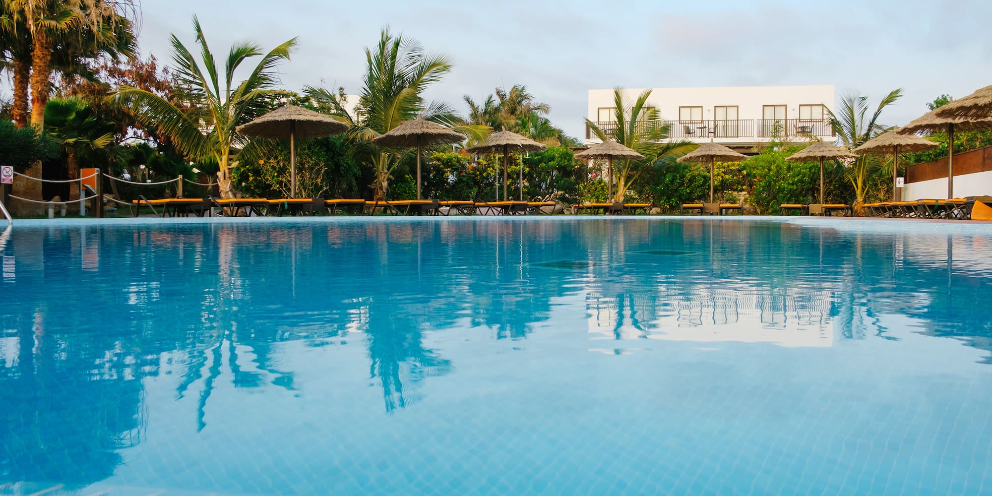 a pool with umbrellas and palm trees