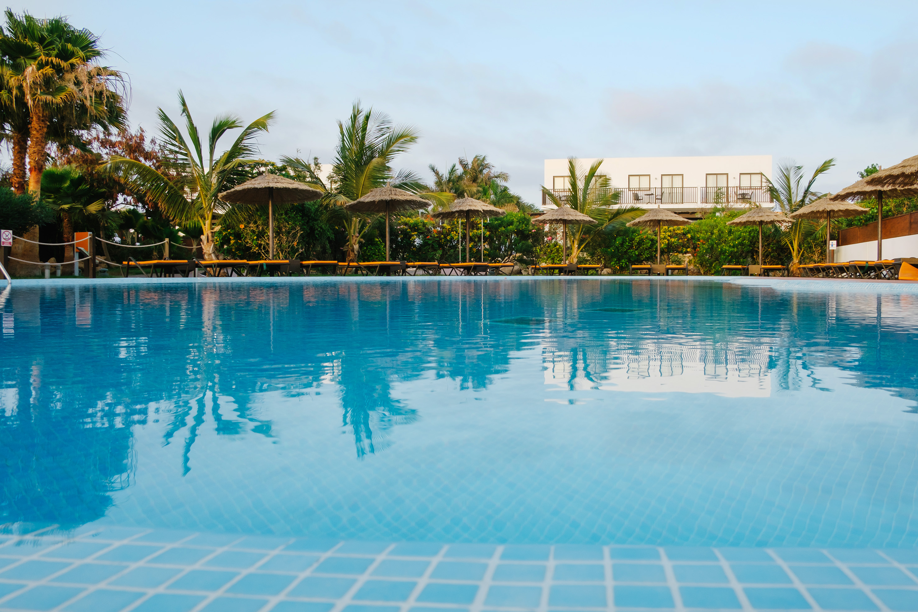 a pool with umbrellas and palm trees