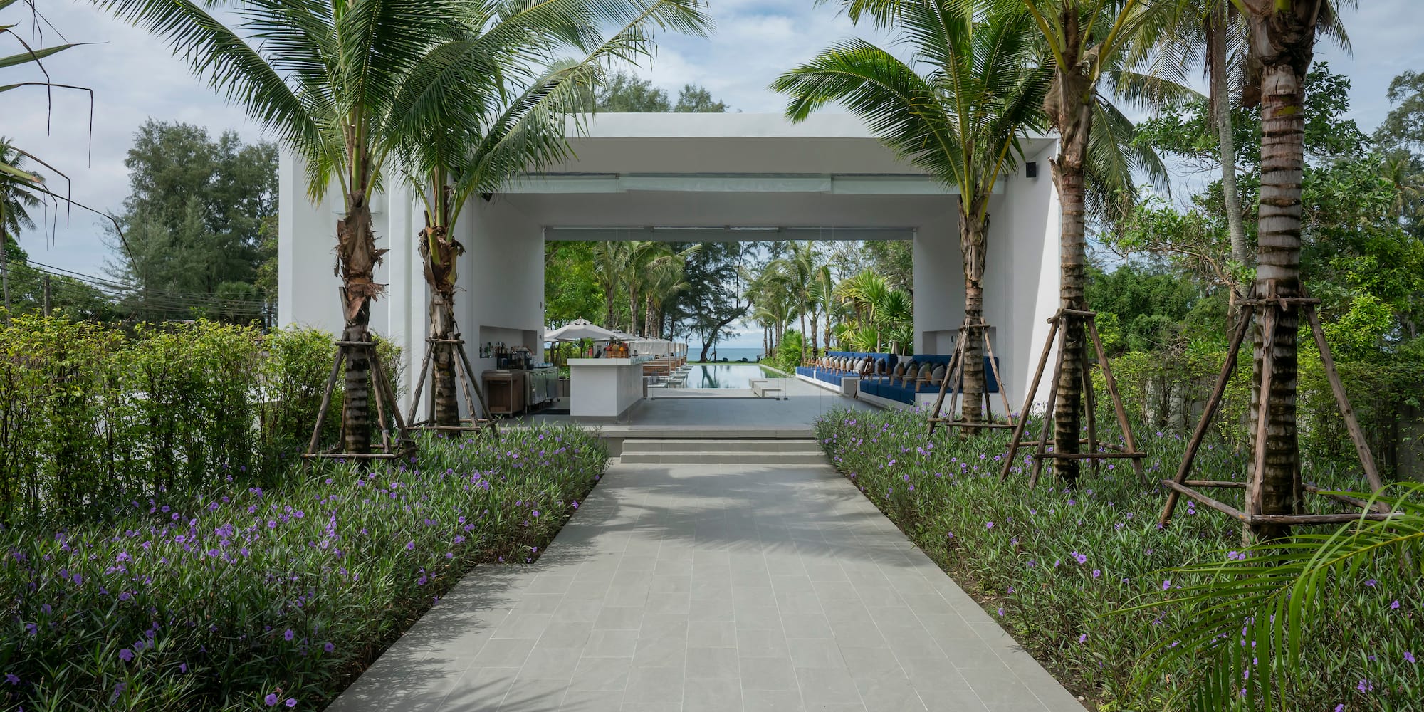 a walkway with palm trees and a pool in the background