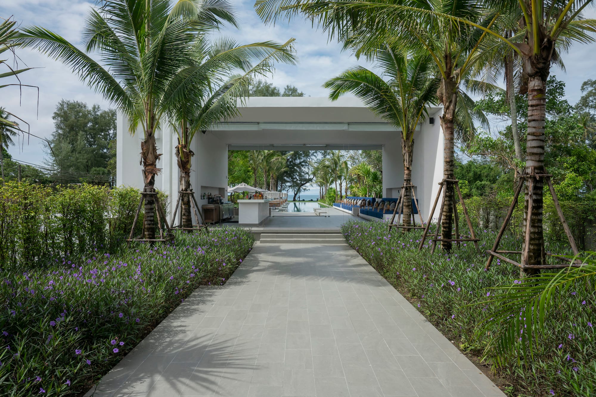 a walkway with palm trees and a pool in the background