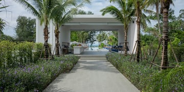 a walkway with palm trees and a pool in the background