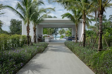 a walkway with palm trees and a pool in the background