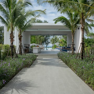 a walkway with palm trees and a pool in the background