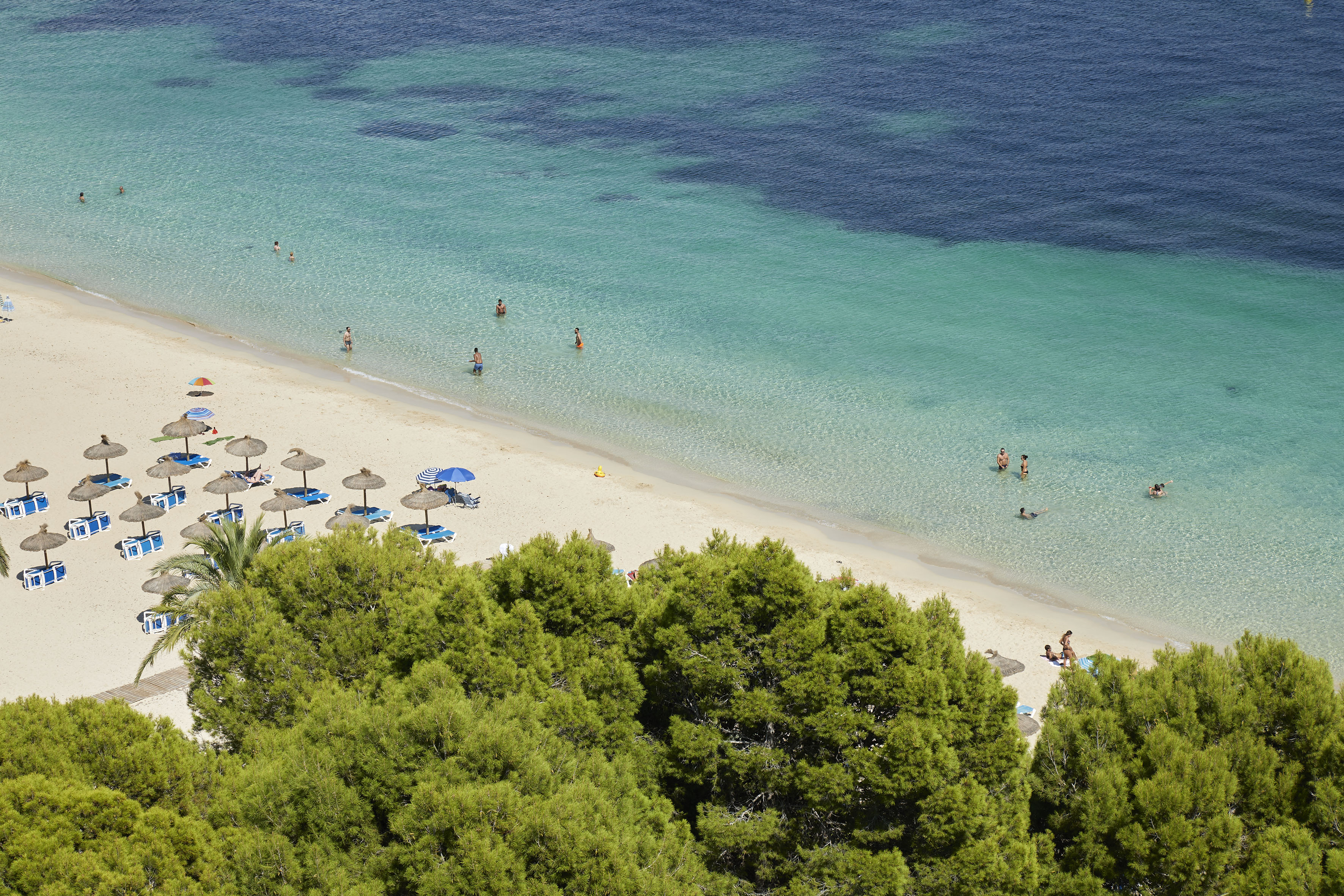 Aerial view of sandy beach with clear turquoise water, swimmers, umbrellas, and trees.