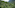 people picking coffee in a plantation