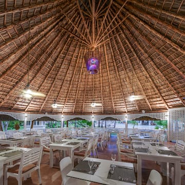 Sol Palmeras - Tex-Mex - Restaurantes