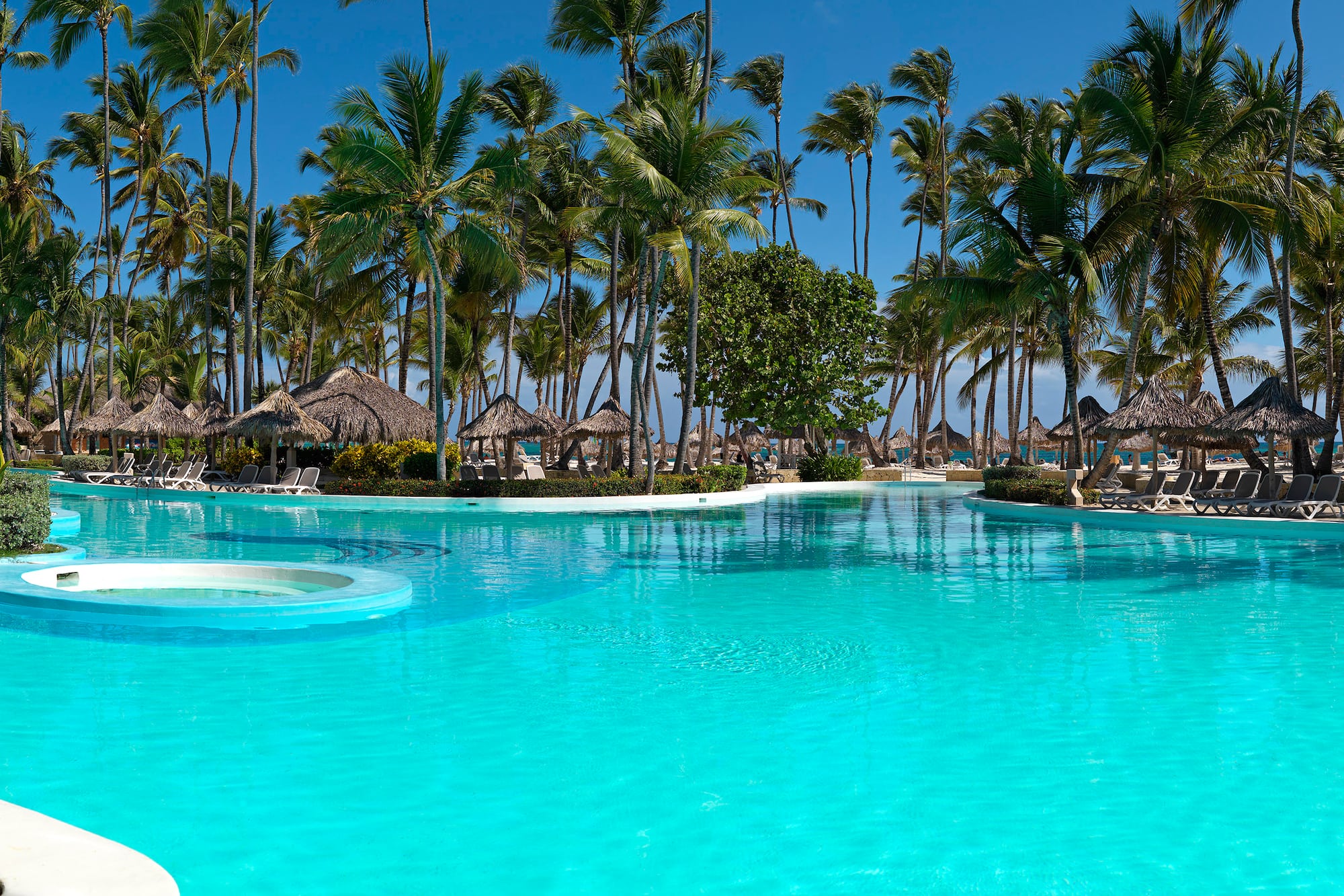 a pool with palm trees and umbrellas