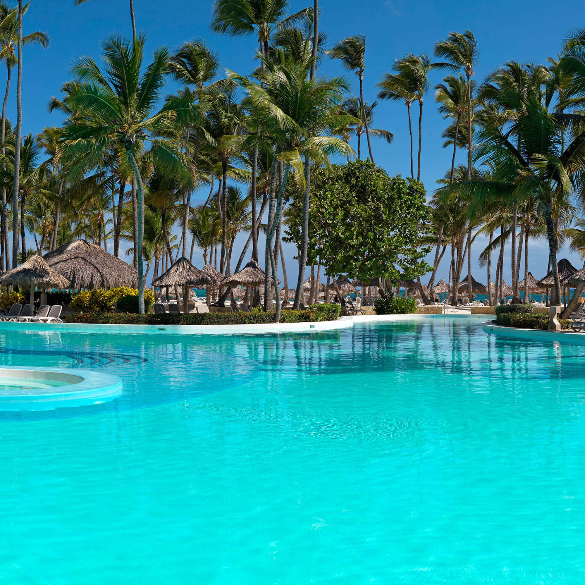 a pool with palm trees and umbrellas