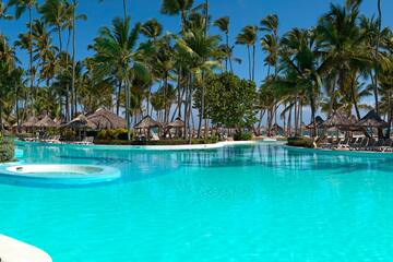 a pool with palm trees and umbrellas