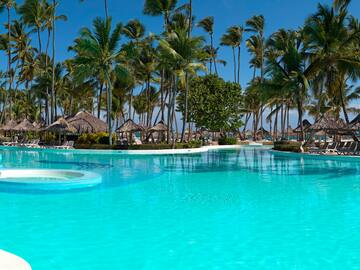 a pool with palm trees and umbrellas