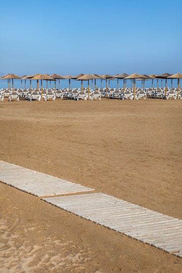 a beach with chairs and umbrellas