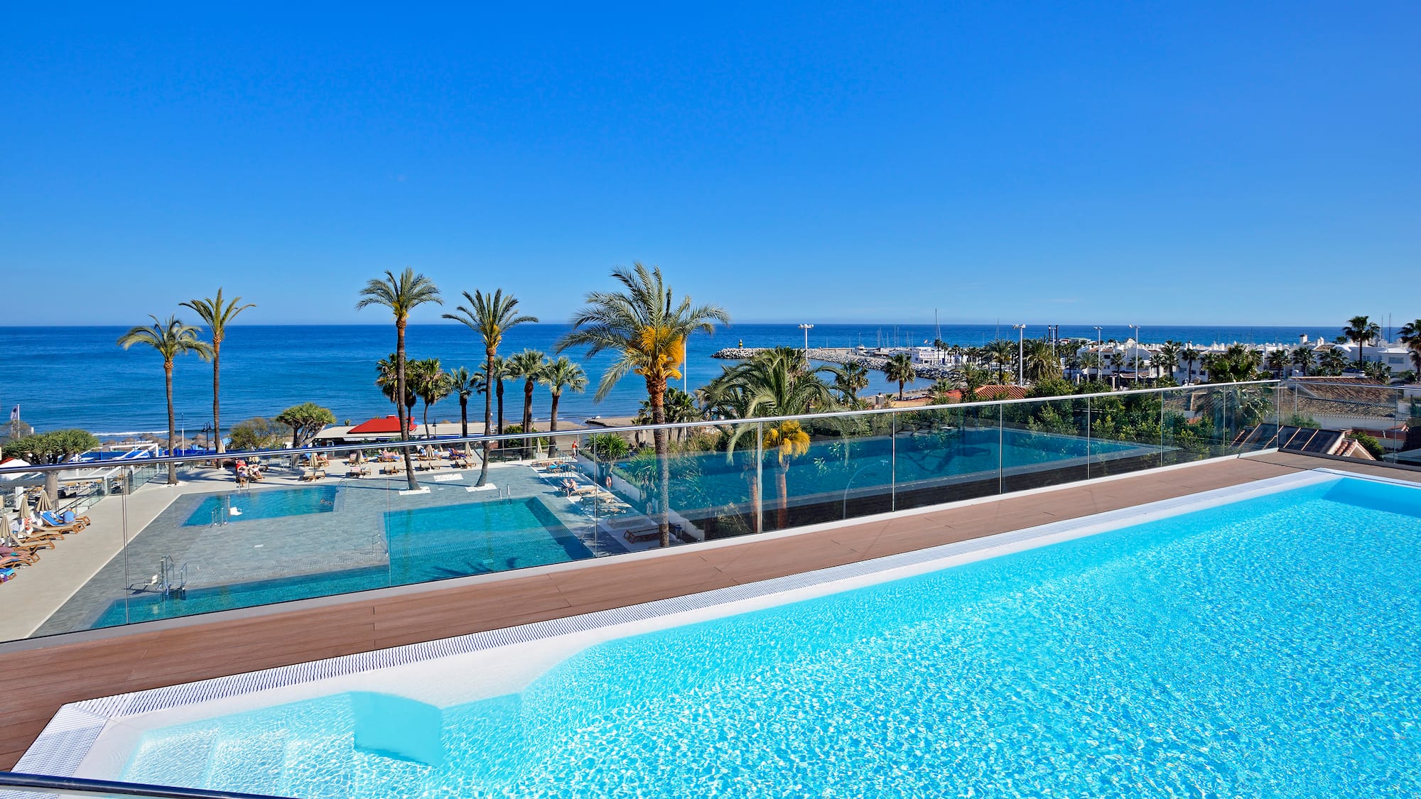 uma piscina com palmeiras e uma praia ao fundo