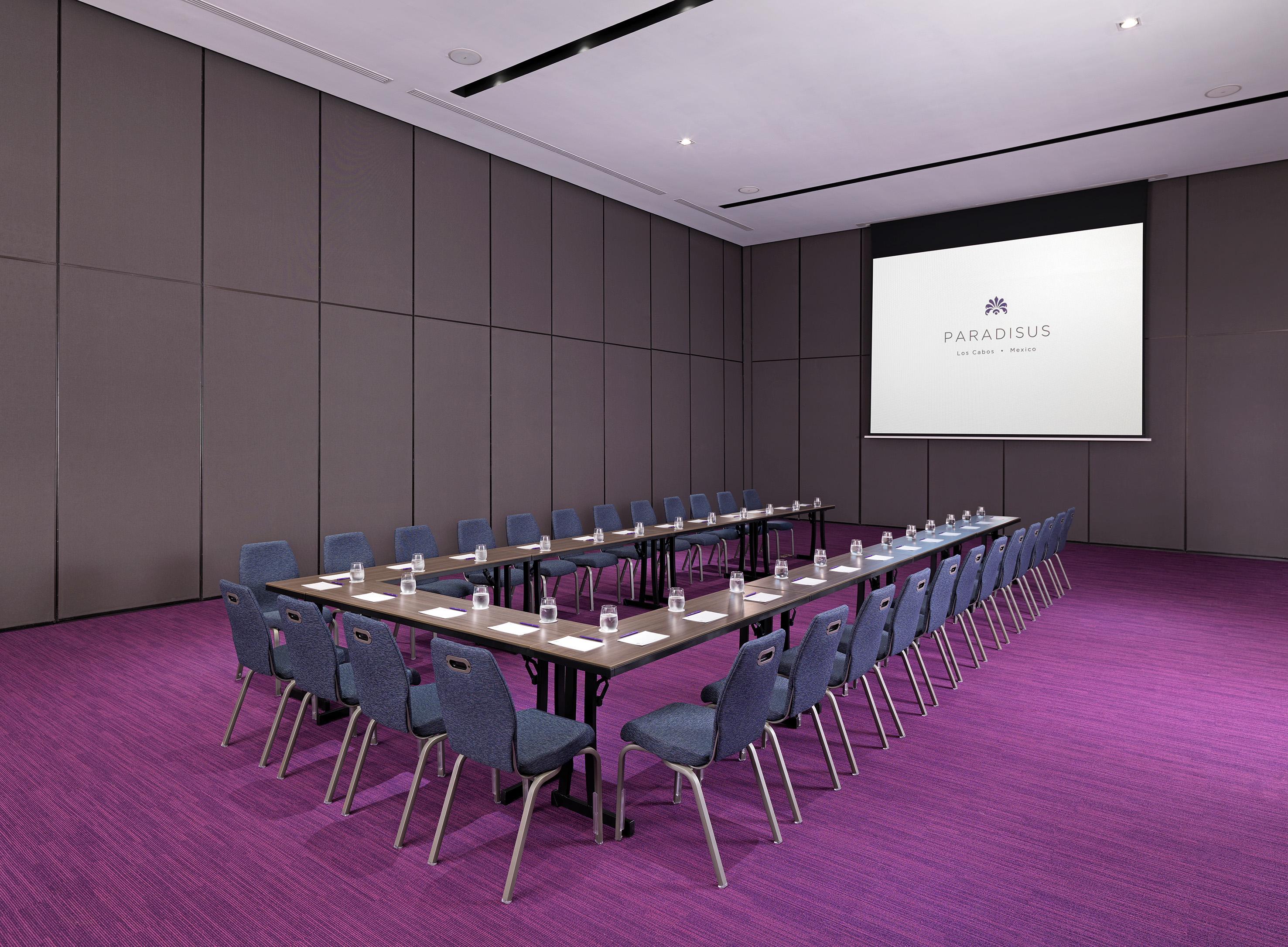 Modern conference room with U-shape table, purple carpet, and Paradisus screen logo.