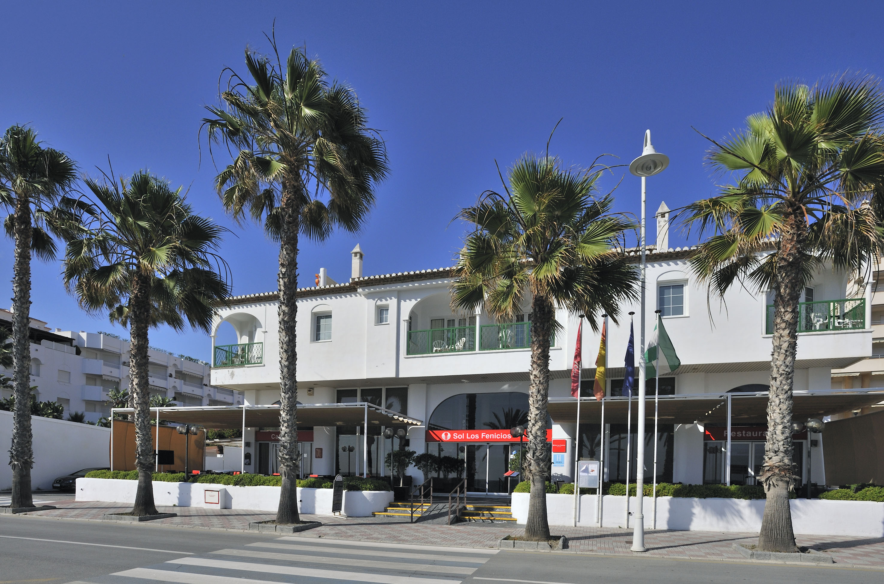 Sunny Sol Los Fenicios hotel facade with palm trees and a crosswalk.