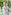 Chef Uku smiling in white uniform, arms crossed, with green outdoor background.