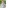 Chef Uku smiling in white uniform, arms crossed, with green outdoor background.