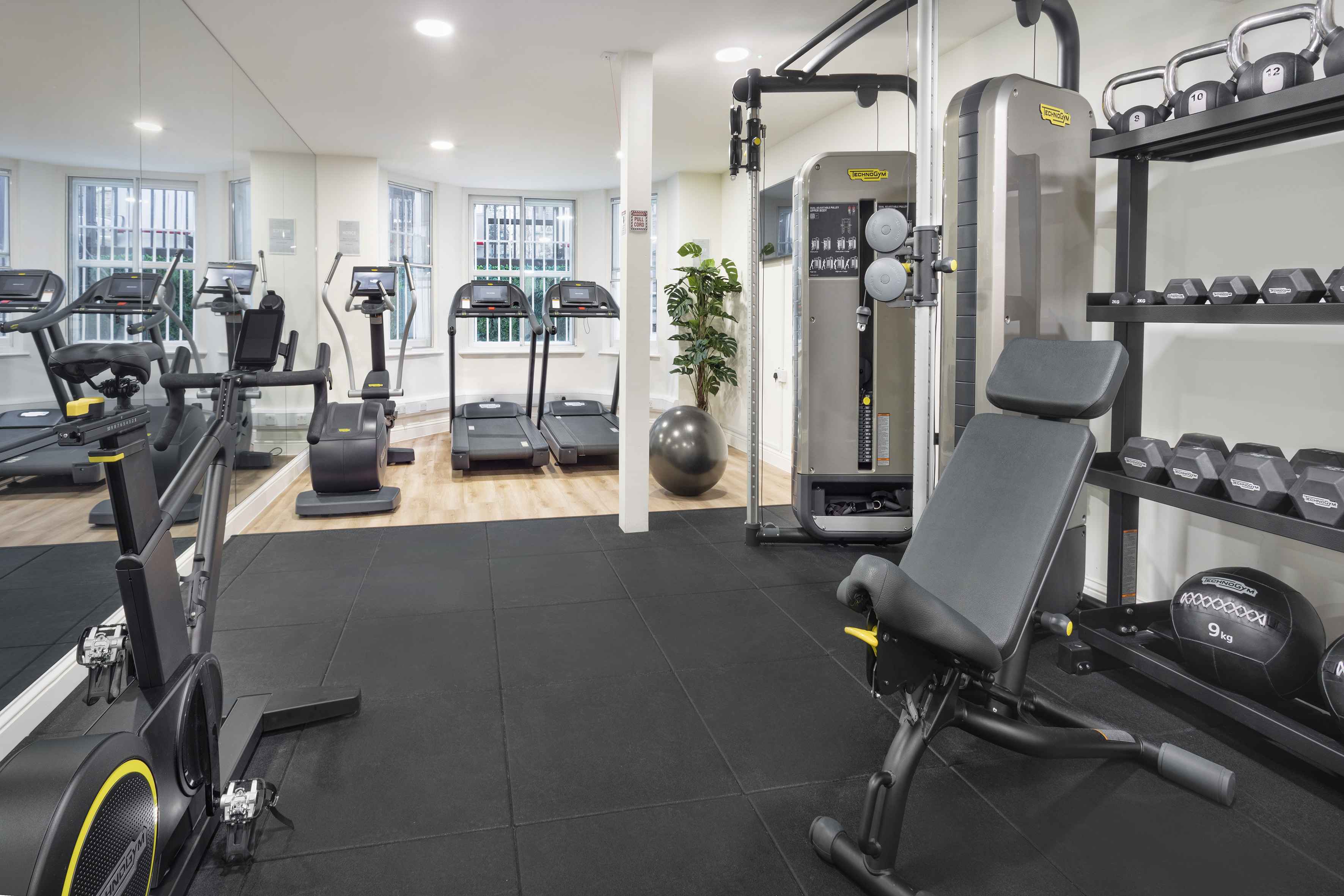 Modern gym with cardio machines, Technogym weights, dumbbells, and mirrors.