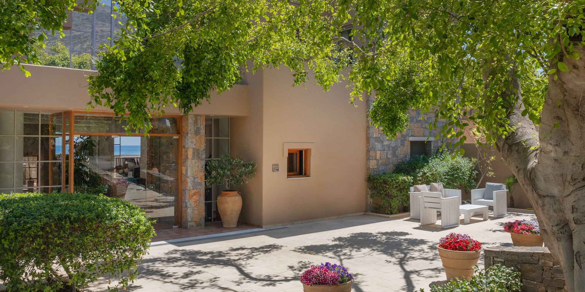 a courtyard with trees and plants