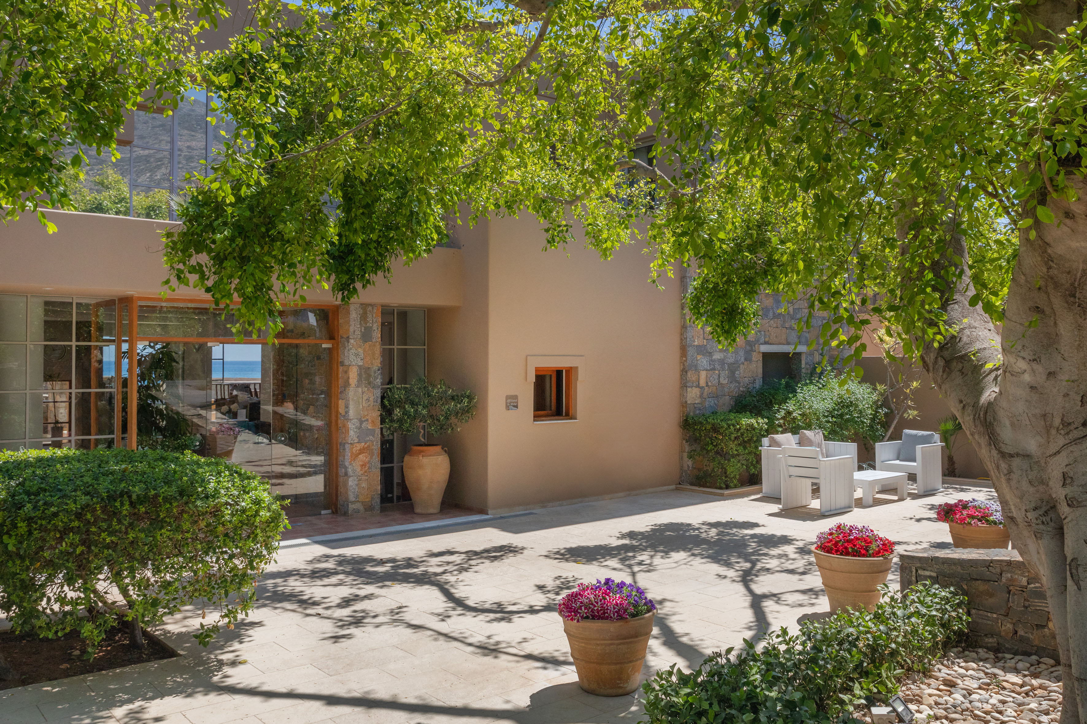 a courtyard with trees and plants