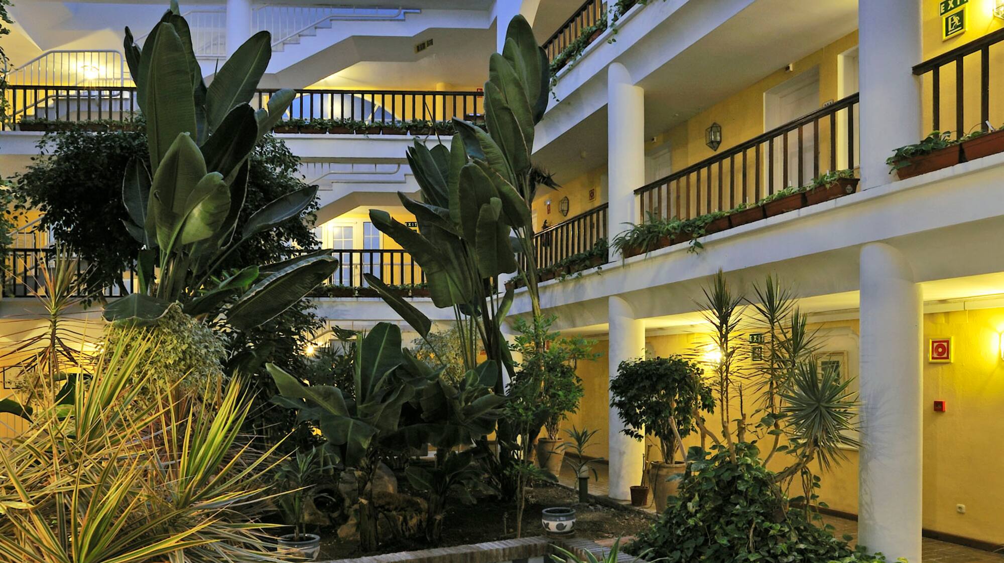 a courtyard with plants and a pool