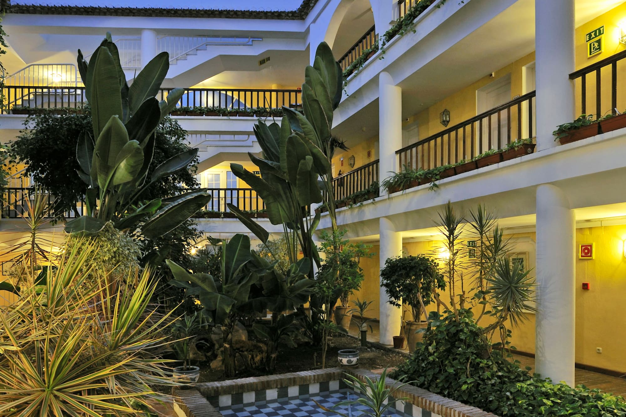 a courtyard with plants and a pool