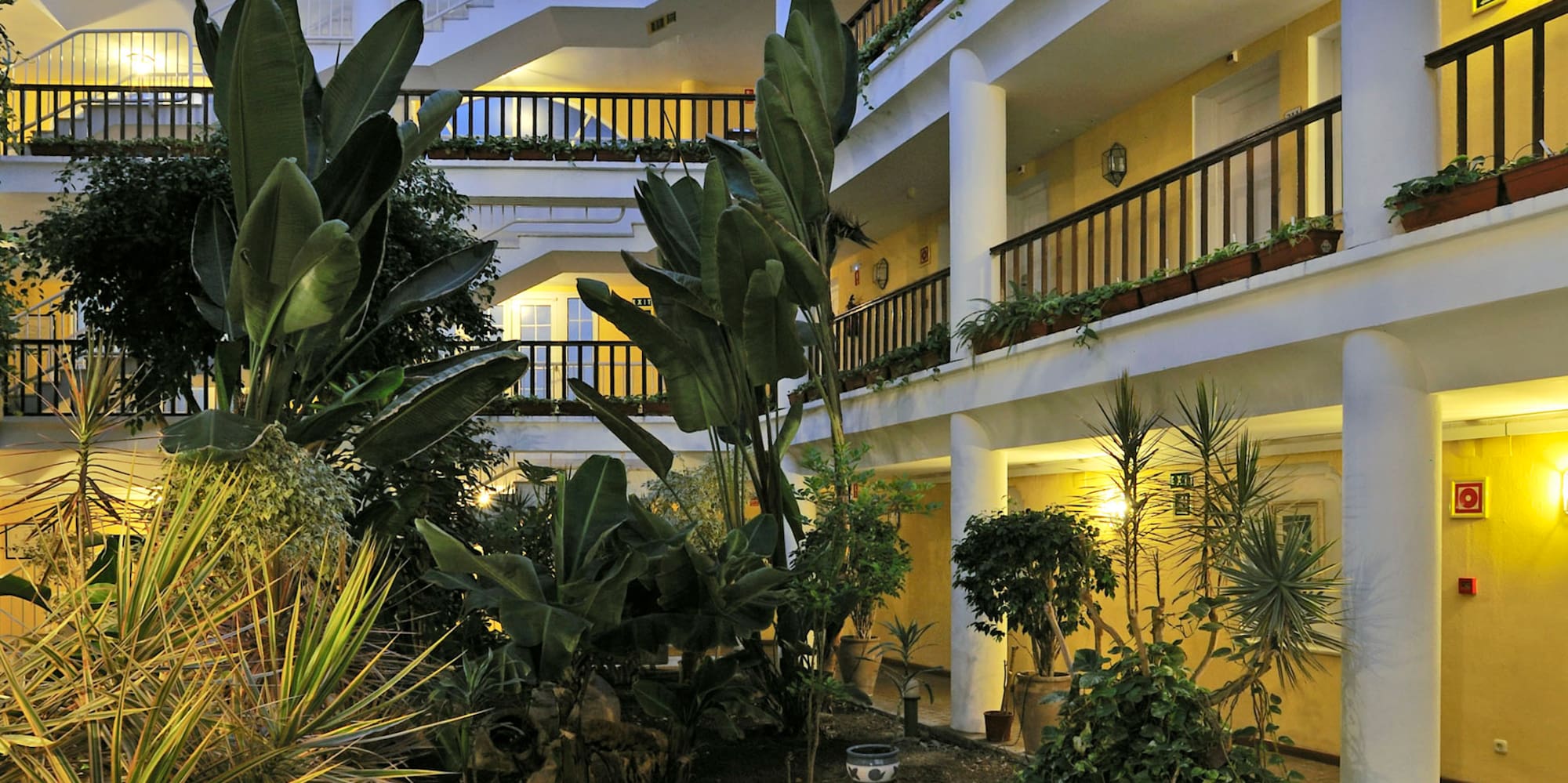 a courtyard with plants and a pool