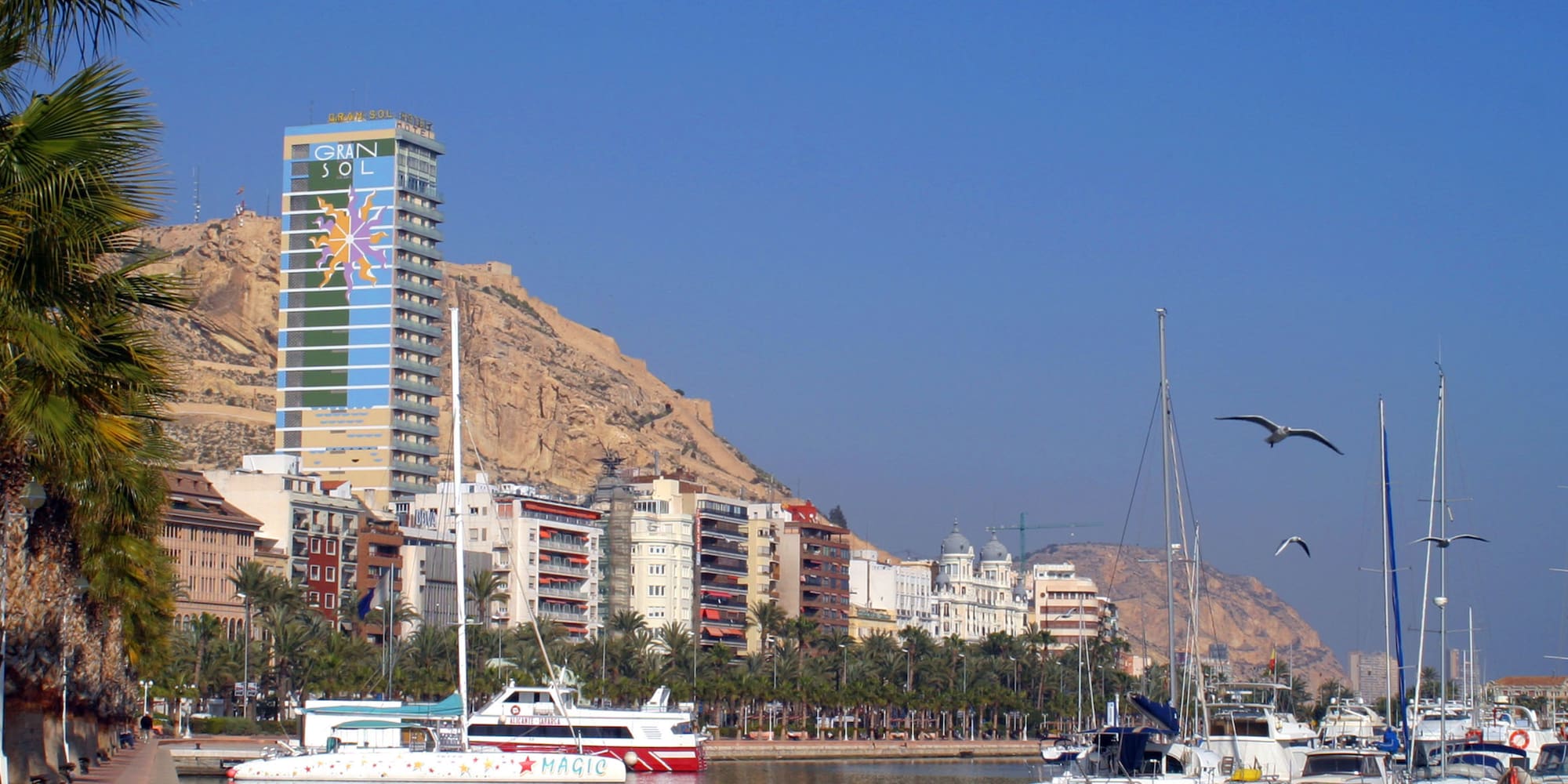 a body of water with boats and birds flying over it