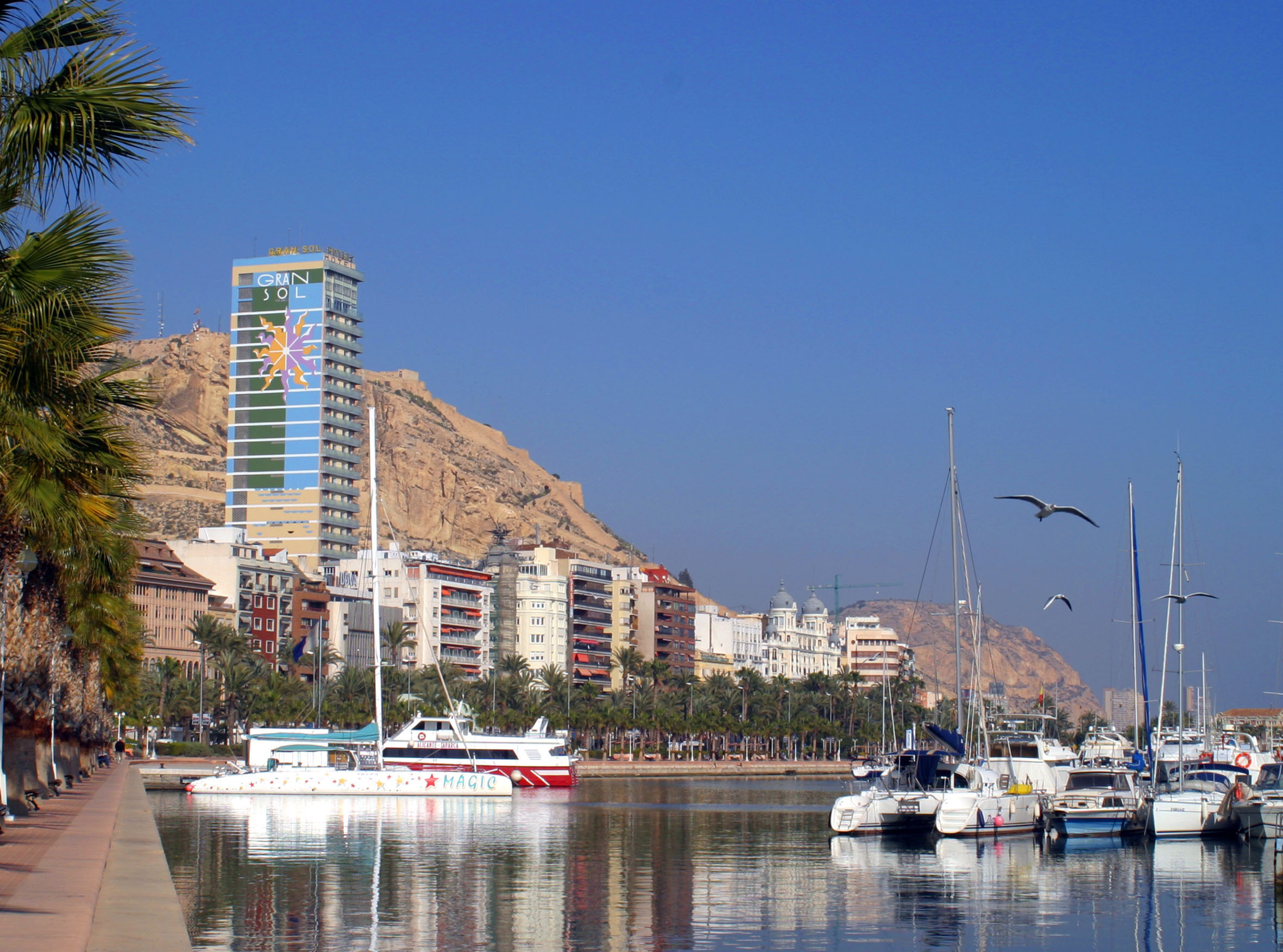 a body of water with boats and birds flying over it