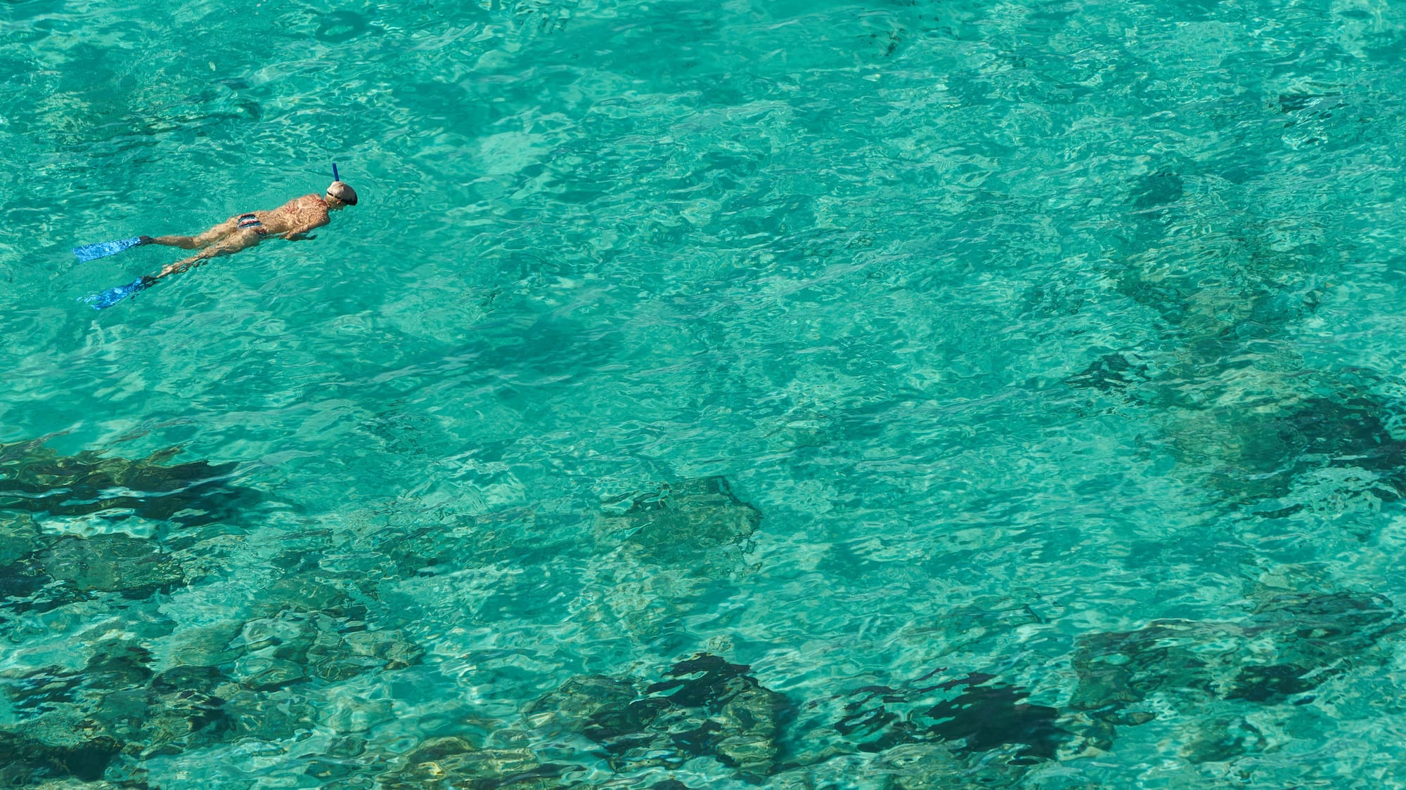 a person swimming in clear water