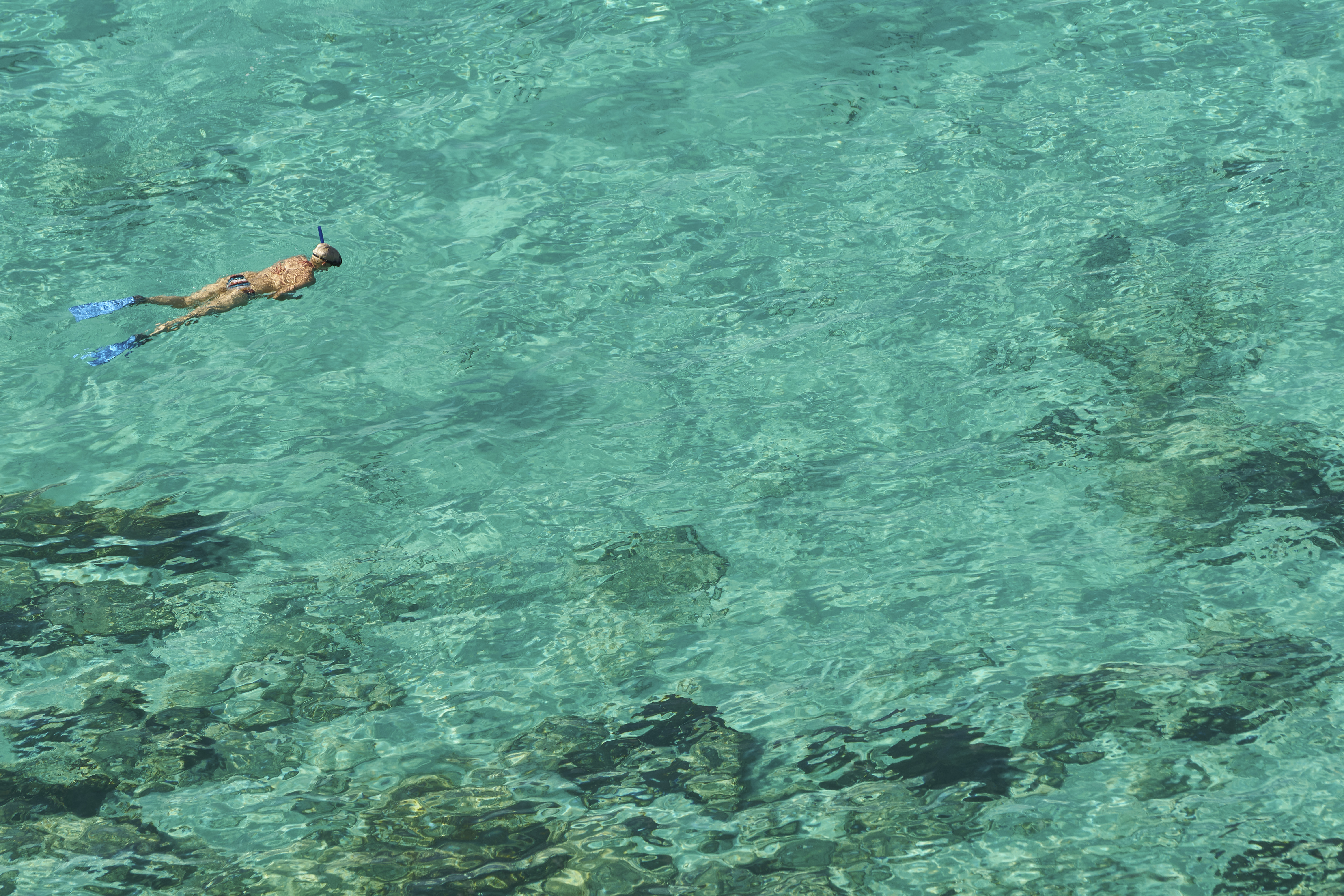 a person swimming in clear water