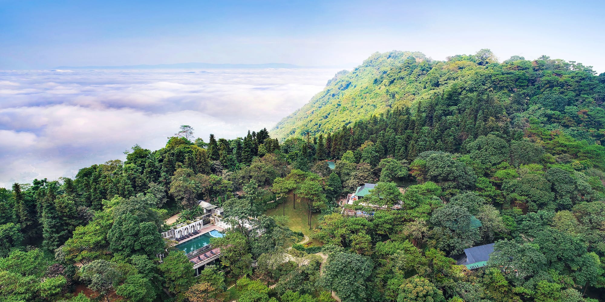 a aerial view of a forest with a pool and a building