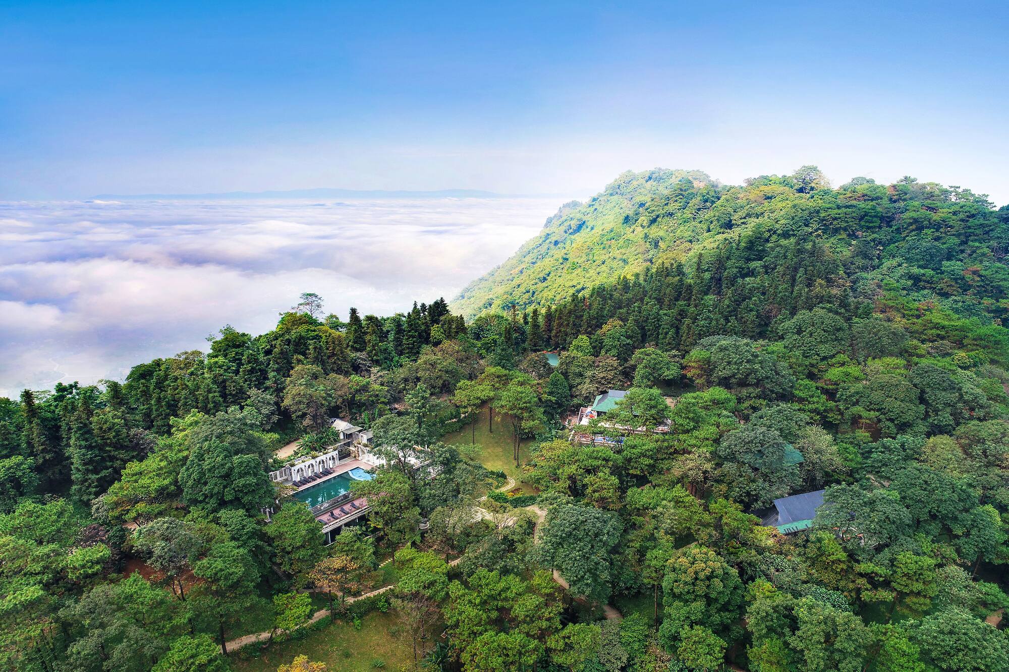 a aerial view of a forest with a pool and a building