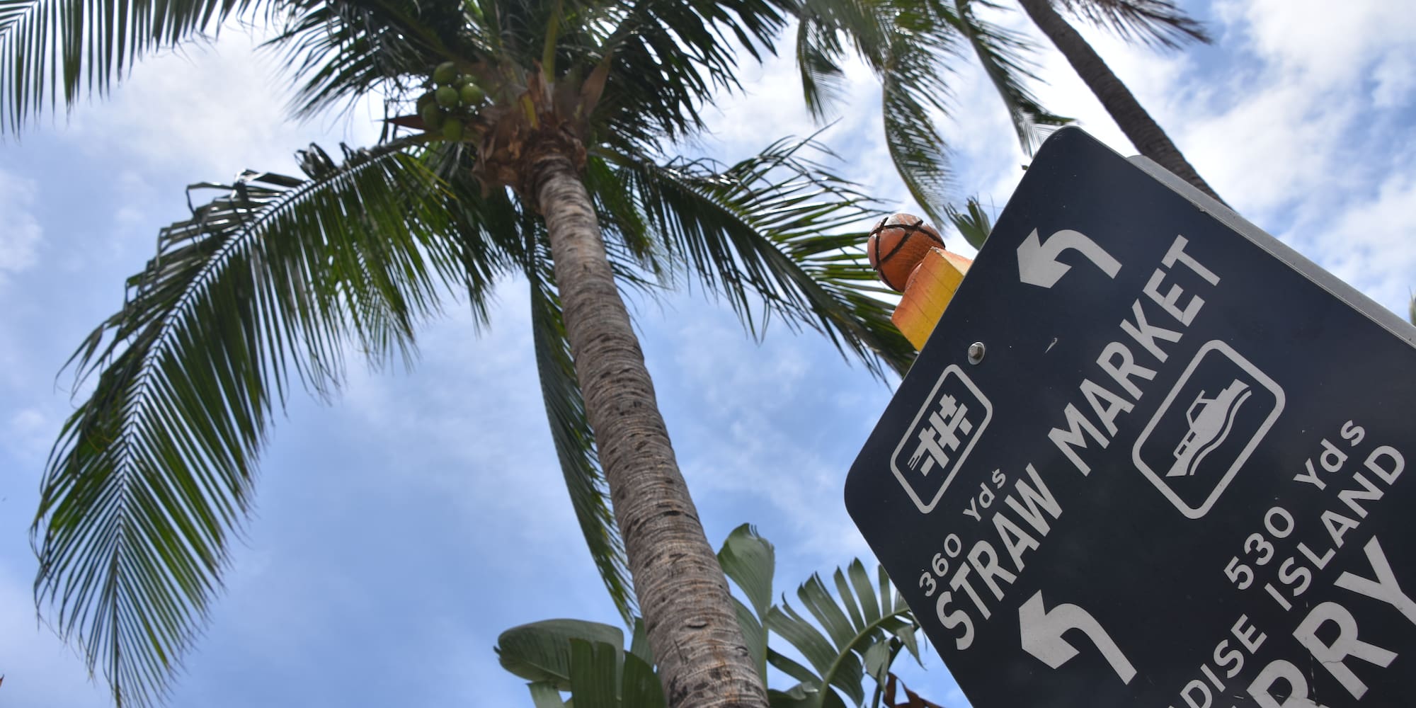 a street sign and palm trees