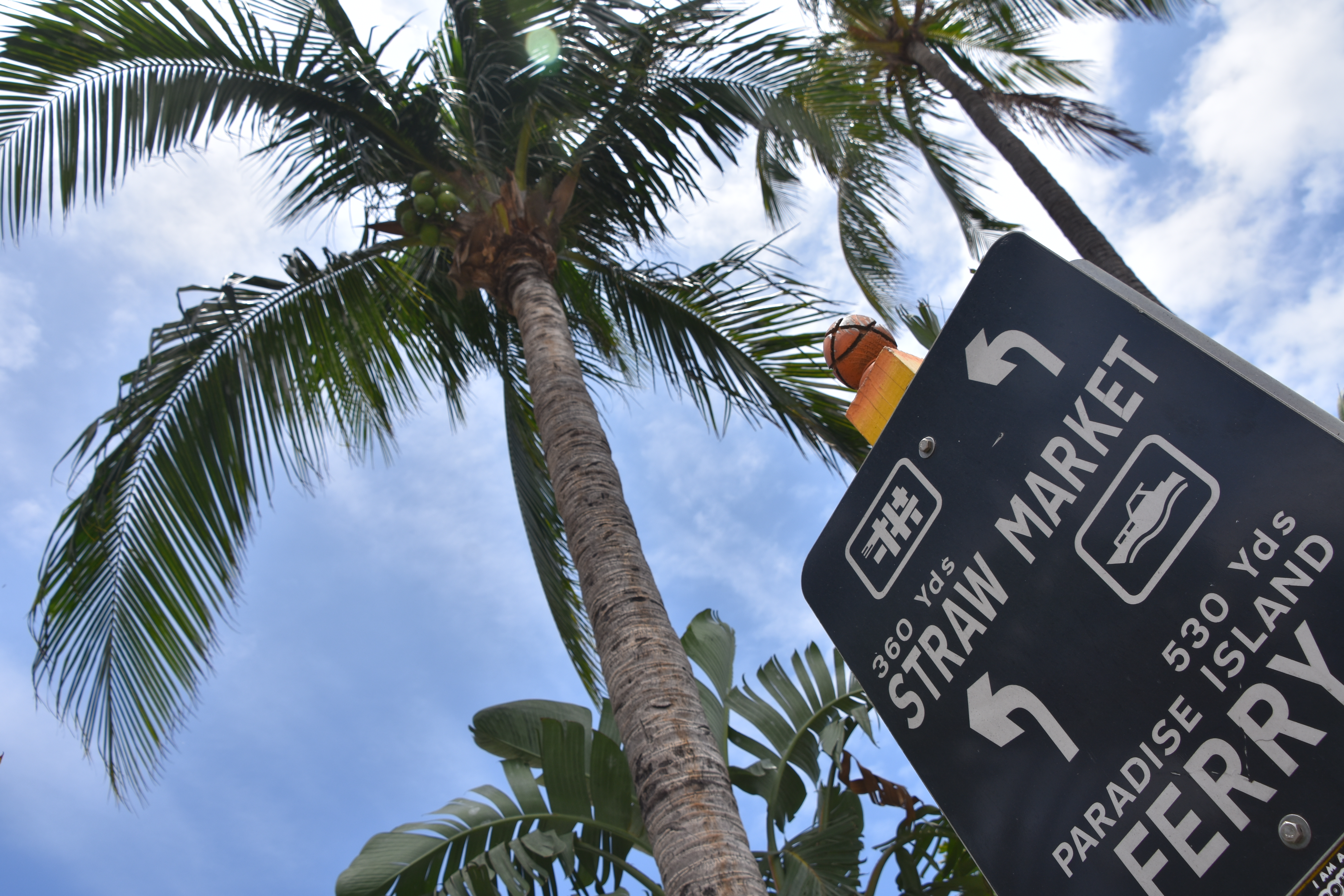 a street sign and palm trees
