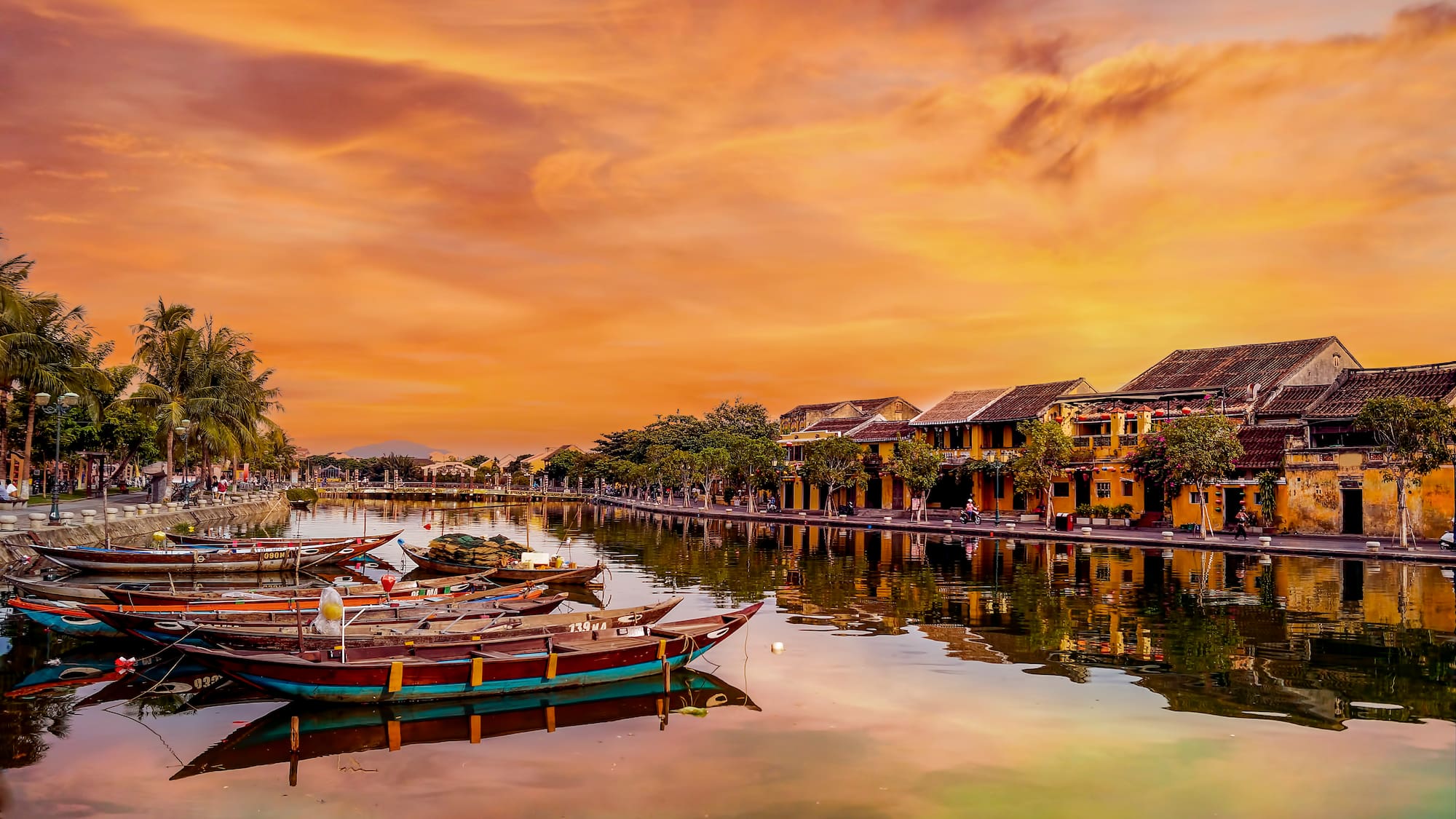 boats on the water with buildings and trees