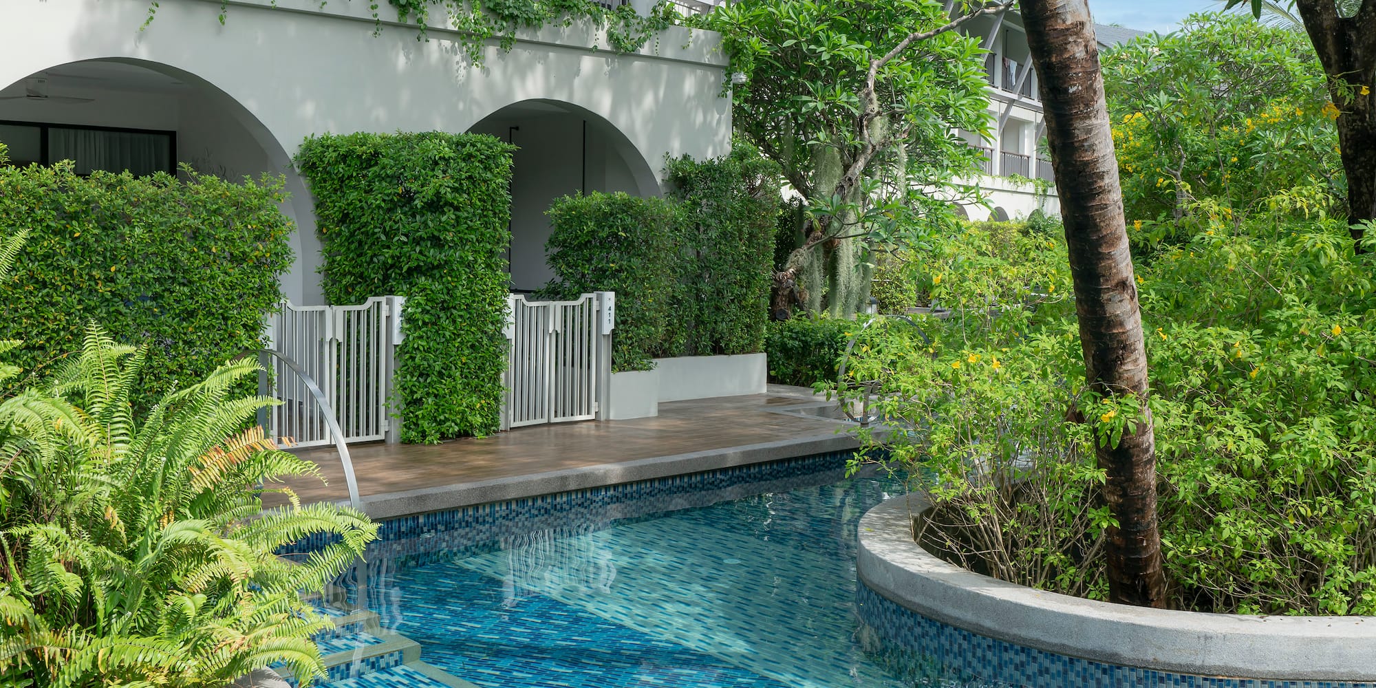 a pool with plants around it