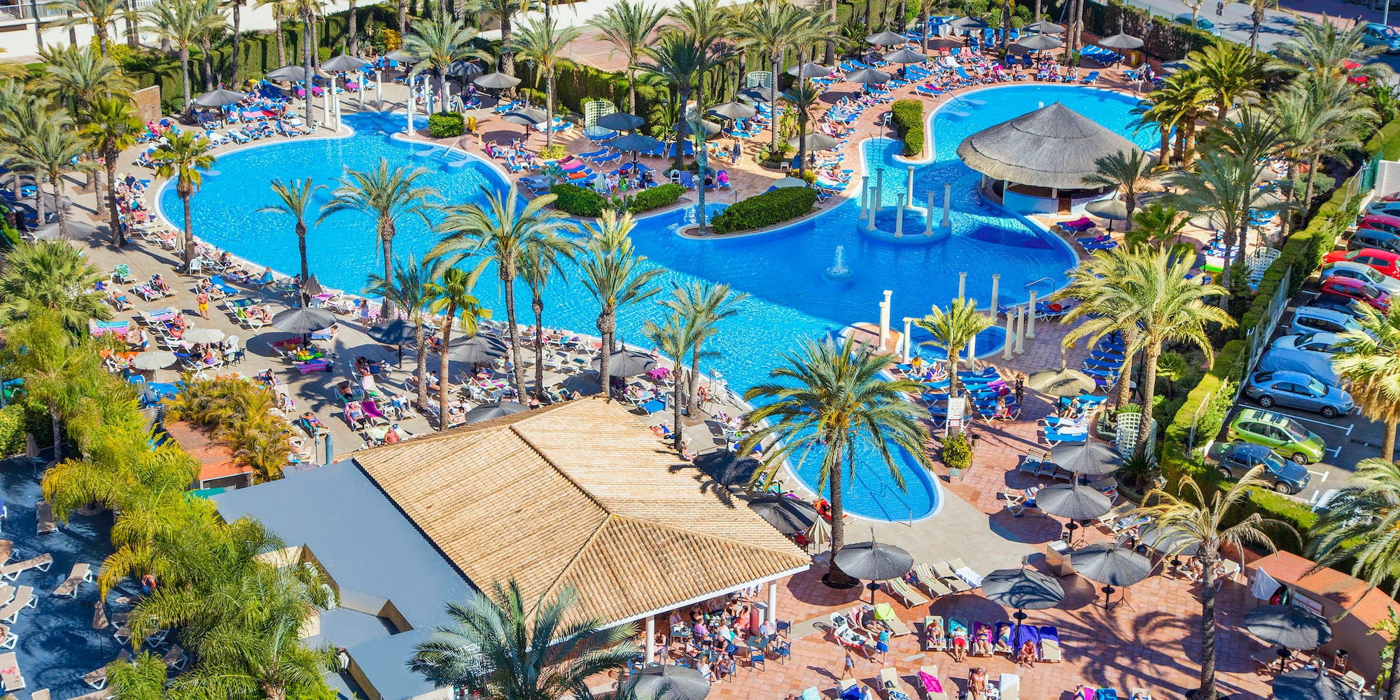 a pool area with palm trees and people