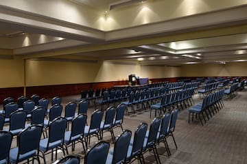 a room with rows of blue chairs
