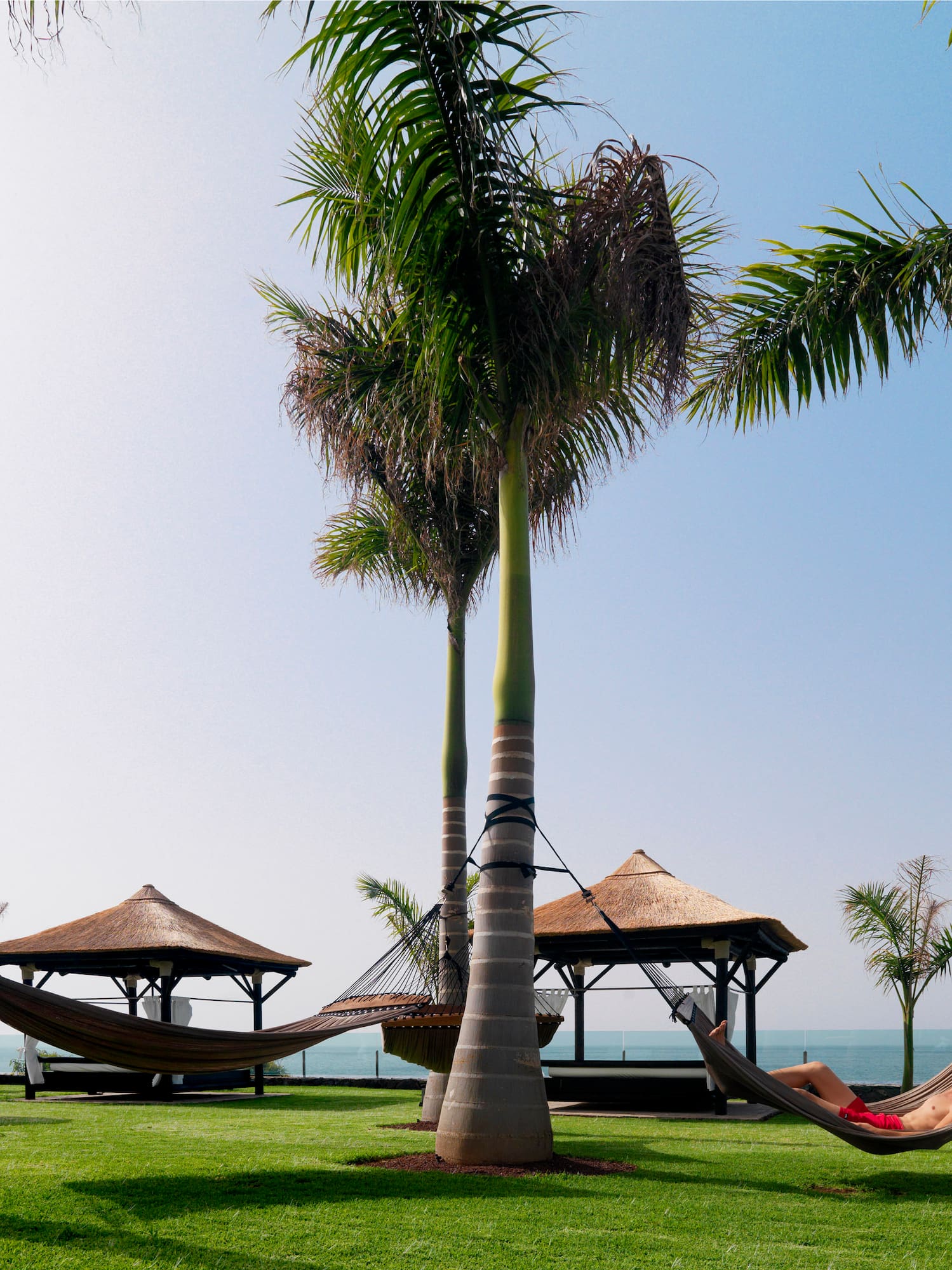 a hammocks on a grass field with a couple of people lying in hammocks