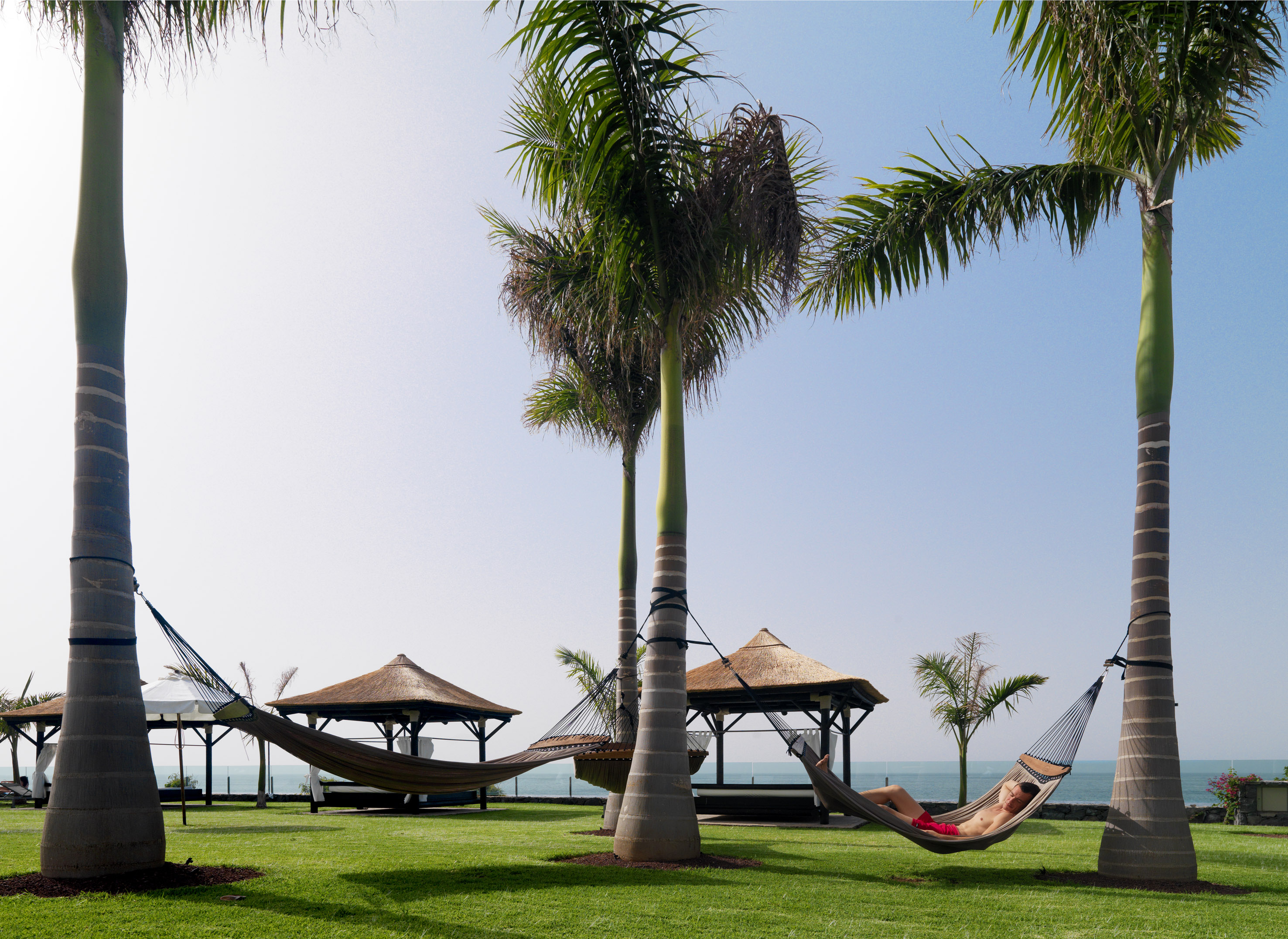 Person relaxing in hammock under palm trees at tropical resort with ocean view.