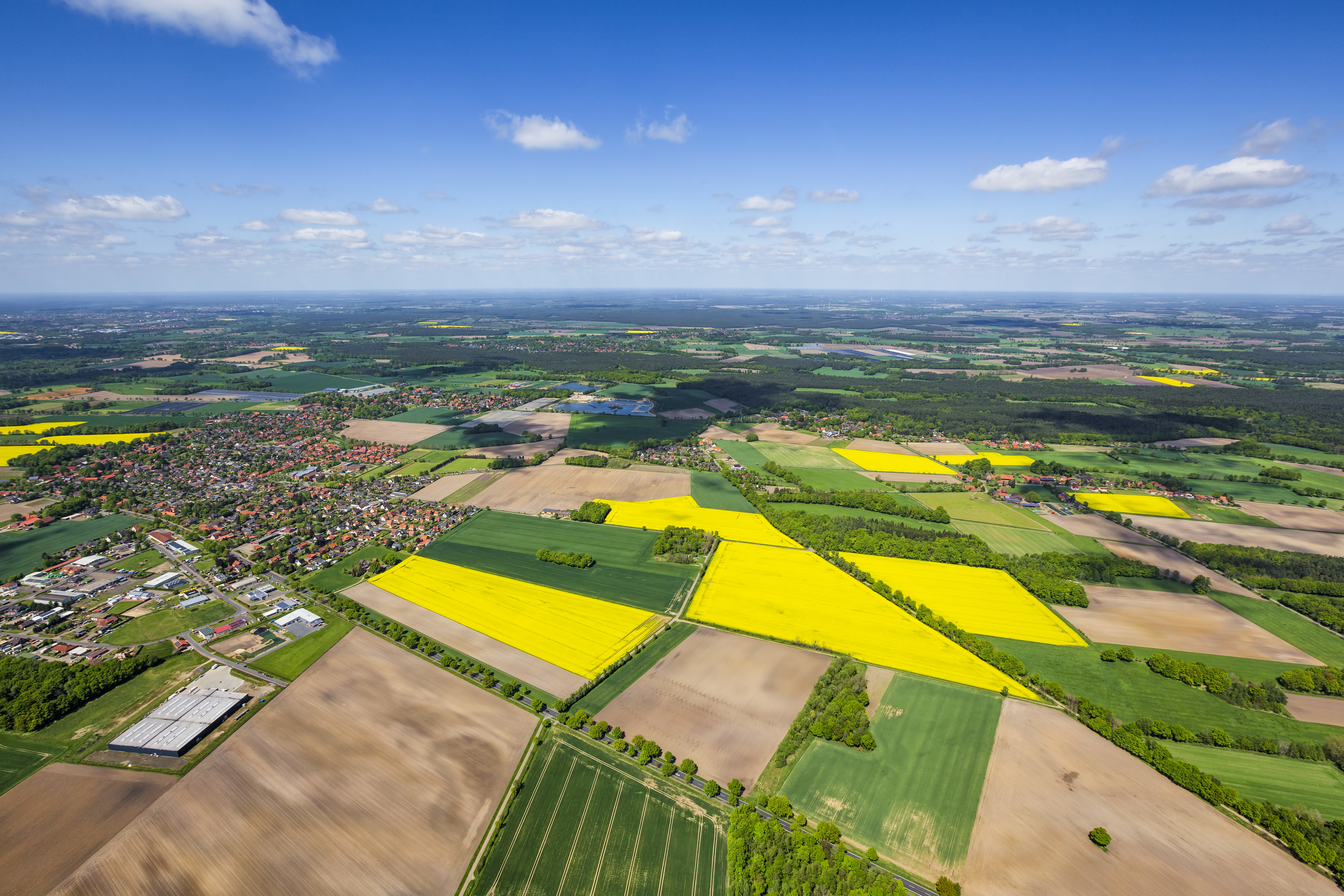 aerial view of a field with yellow flowers