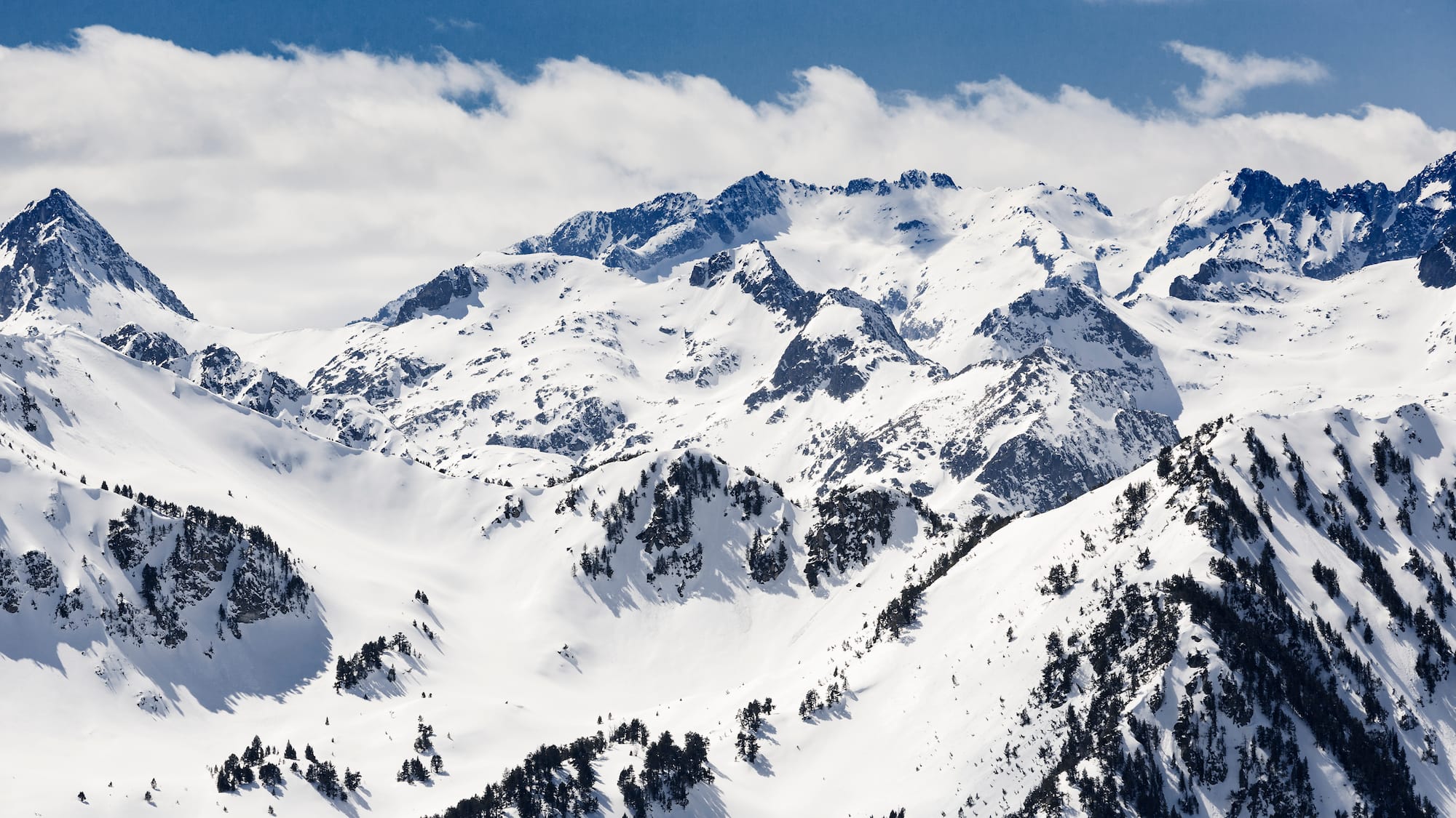 a snowy mountain tops with trees