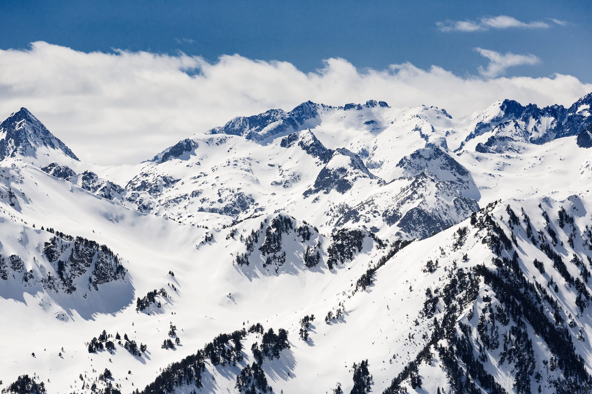 a snowy mountain tops with trees