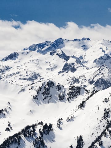 a snowy mountain tops with trees
