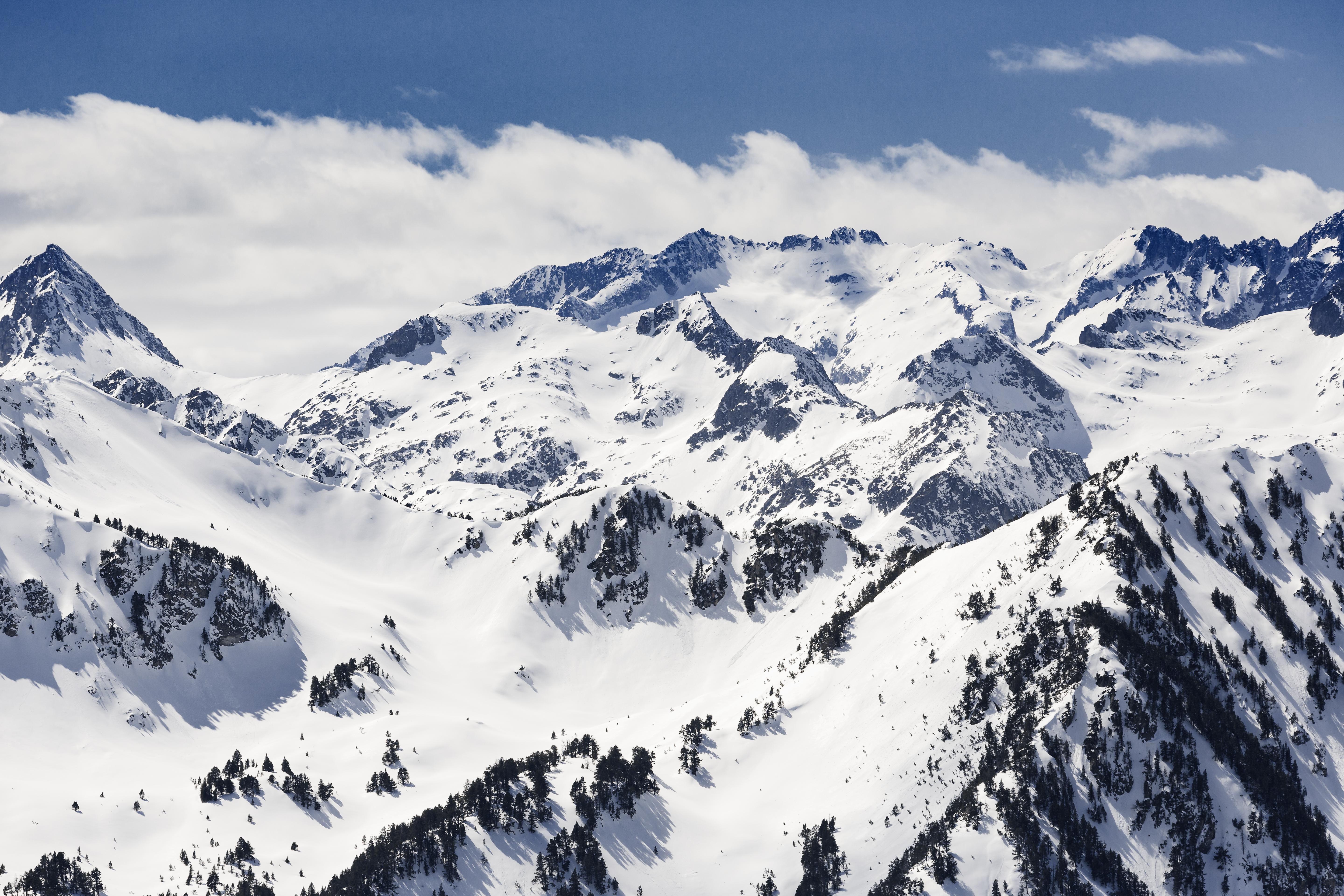 Vast snowy mountain range with pine trees under a partly cloudy blue sky.
