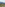 Coastal city skyline from a golf course with green fairways and bunkers.